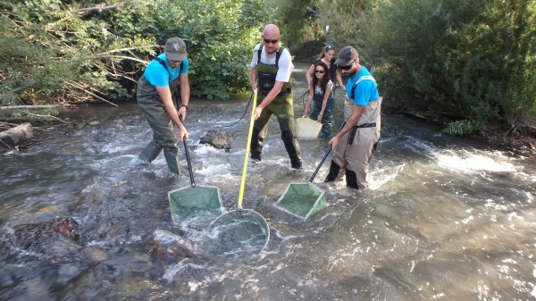 SUDOANG | To the rescue of the European eel, a species of high biological value in critical danger of extinction