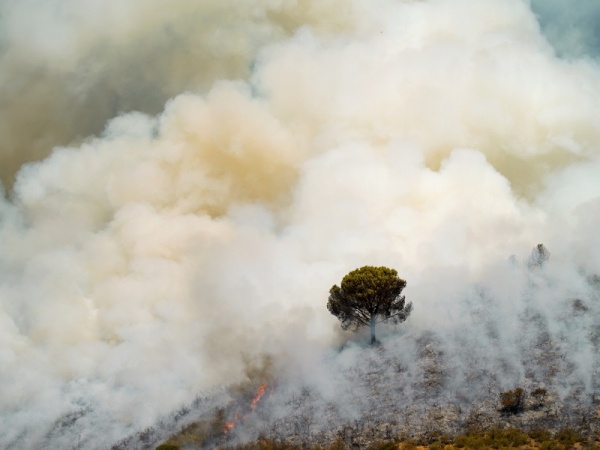 Un momento de la quema controlada. Fotografía de Elisa Vega Martínez