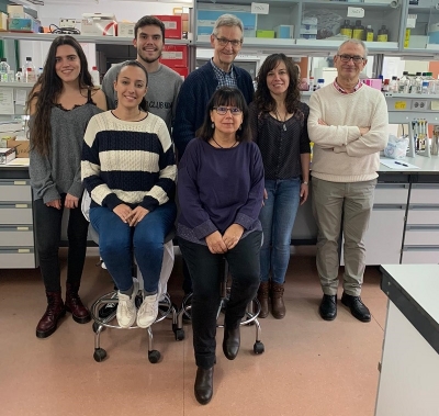 Identifican el papel de dos proteínas antioxidantes en la regulación del metabolismo de la célula