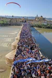 Una vista del puente