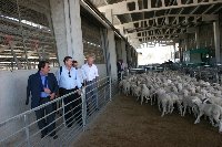 Visita institucional del equipo de gobierno de la UCO a las instalaciones de COVAP en Alcaracejos y Pozoblanco.