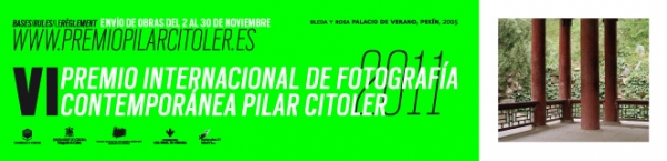 VI Premio Pilar Citoler