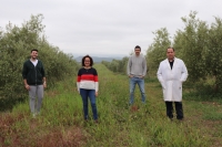 El equipo de la Universidad de Córdoba que trabaja en Diverfarming